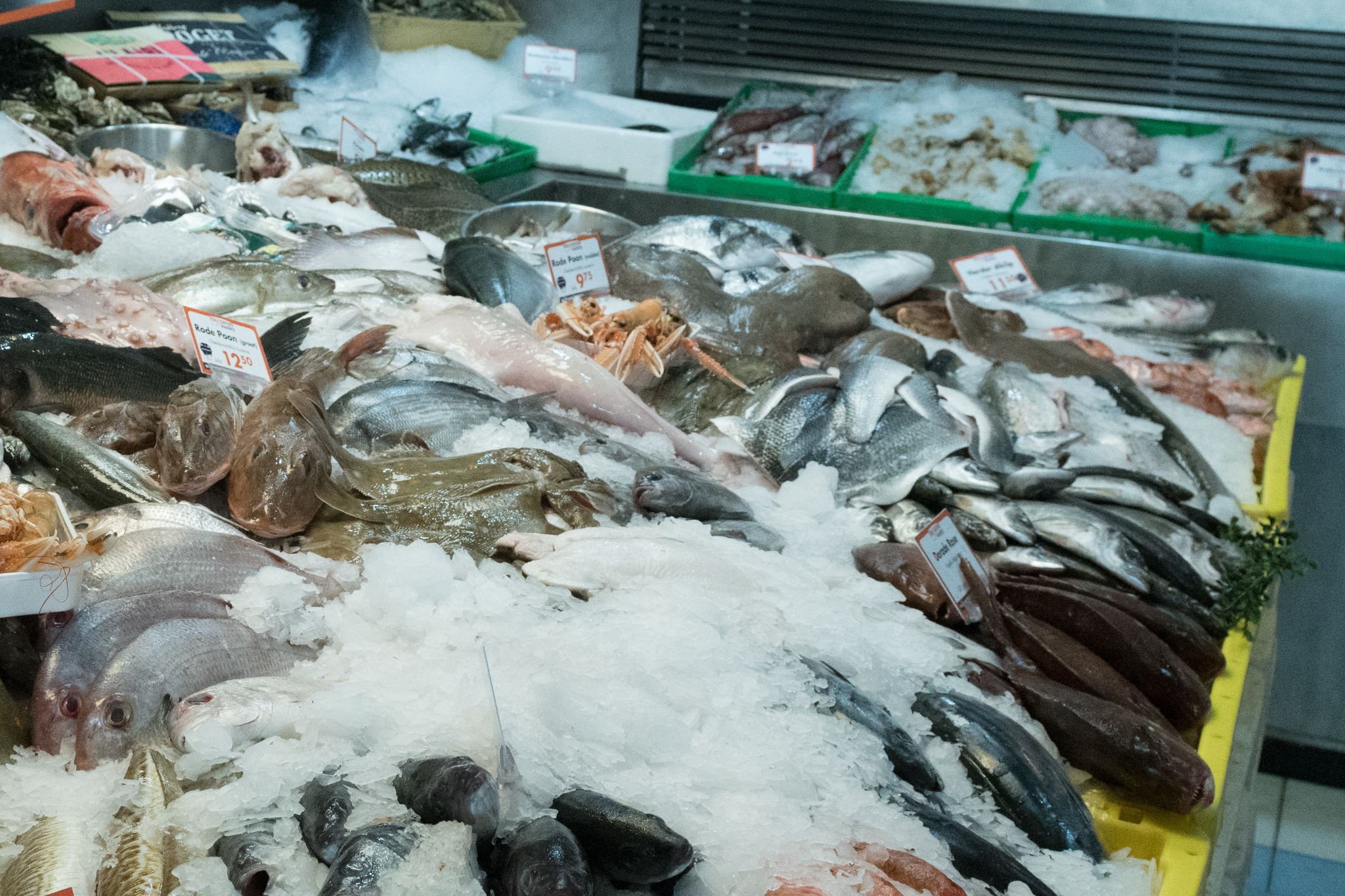 20230304   Fotoshoot IJmuiden   036